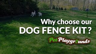 DIY Dog Fence Kits for escape artist dogs