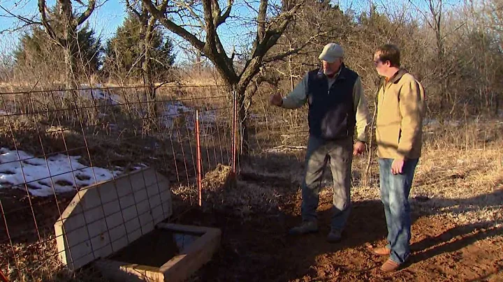 Livestock Safety with Frozen Ponds