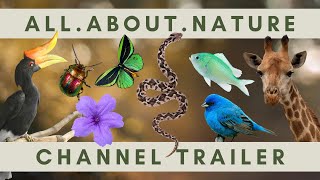 EPIC All About Nature Channel Trailer