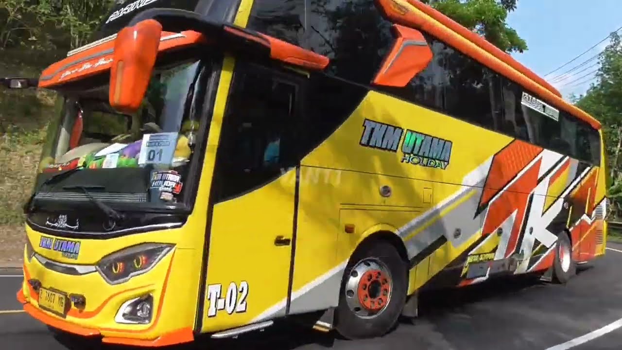 Значение названия основного автобуса TKM Telolet и других автобусов.