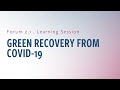 Green Recovery From COVID-19: Debt Relief for Climate Adaptation and Sustainable Development