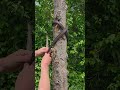 It takes a second to double check your saver config. #cambiumsaver #arborist #arblinkapp