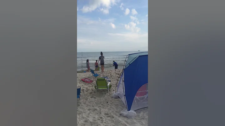 Man catches shark...priceles...  reaction