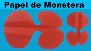 Papel de Monstera/Monstera Paper