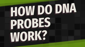 How do DNA probes work?