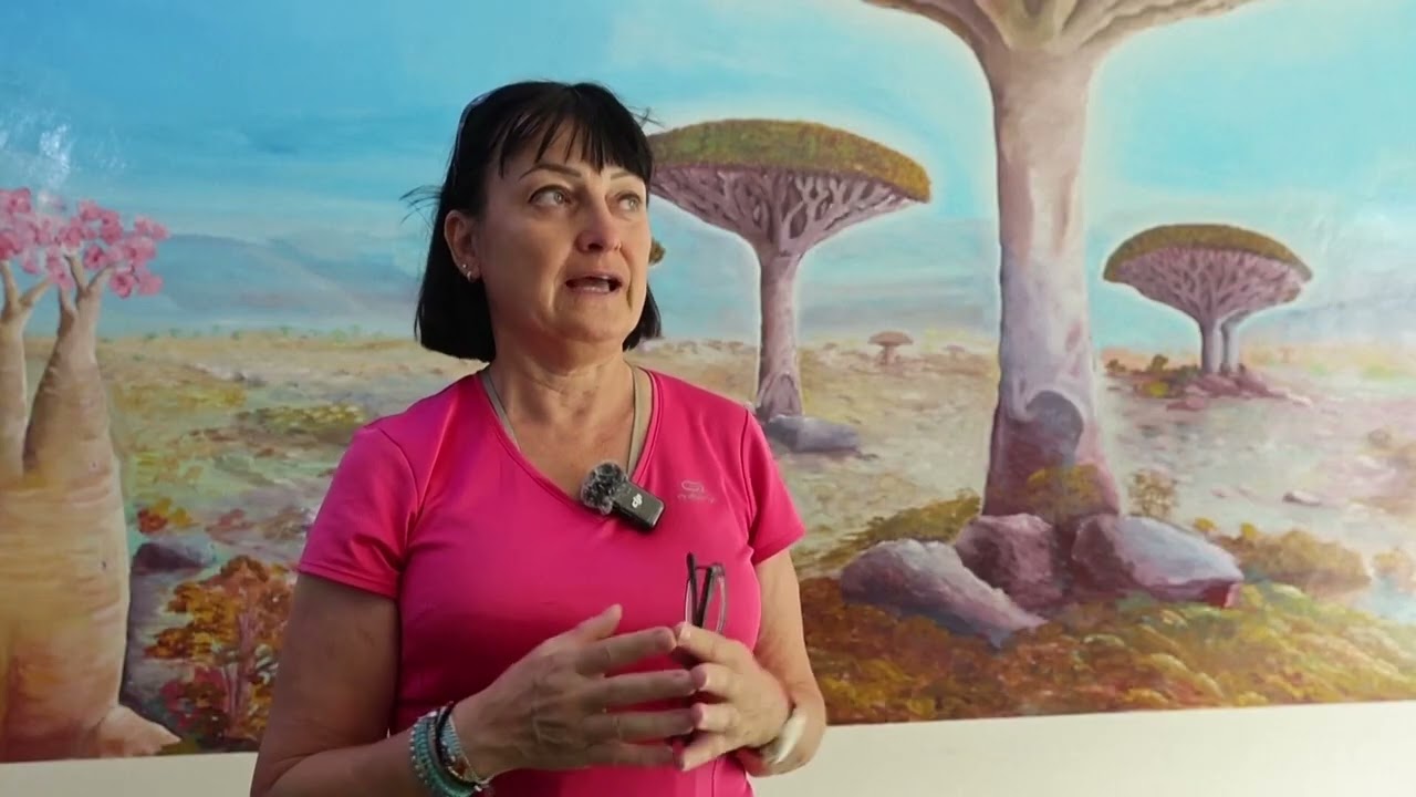 202602 Reuters U2 Tourists Stranded on Yemeni Island