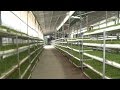 Báo Đồng Nai: Chứng nhận đạt tiêu chuẩn VietGAP cho 5 hộ trồng rau ăn lá
