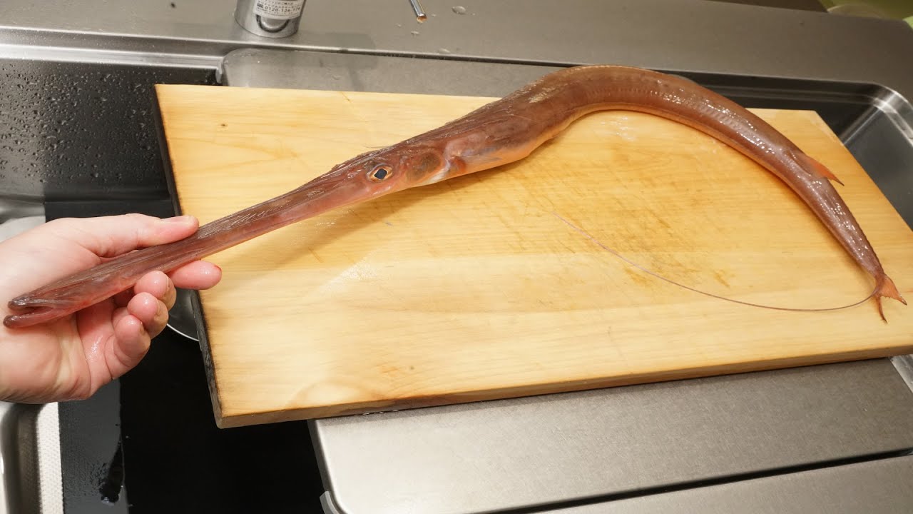 赤矢柄 アカヤガラ のさばき方と刺身の作り方 Youtube 赤矢柄 アカヤガラ のさばき方と刺身の作り方 Youtube