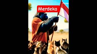 Bendera Merah Putih remix cat kucinglucu