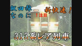 飯田線に特別快速！今では見れない313系特集