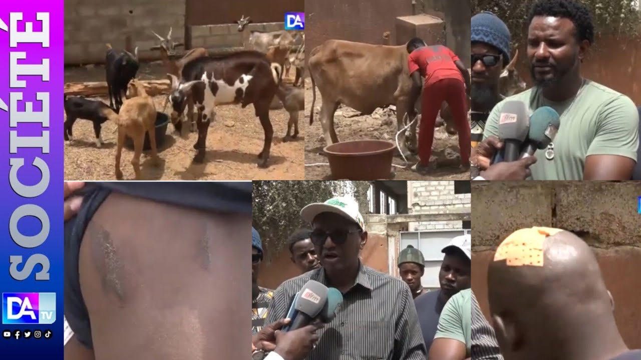 Vol de bétail à la Somone : Échanges de tirs et des blessés