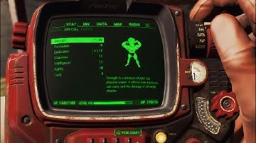 Fallout 4 Character Build Guide