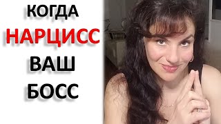 видео: НАЧАЛЬНИК-НАРЦИСС. ЧТО ДЕЛАТЬ И ЧЕГО ИЗБЕГАТЬ. картинка: НАЧАЛЬНИК-НАРЦИСС. ЧТО ДЕЛАТЬ И ЧЕГО ИЗБЕГАТЬ.