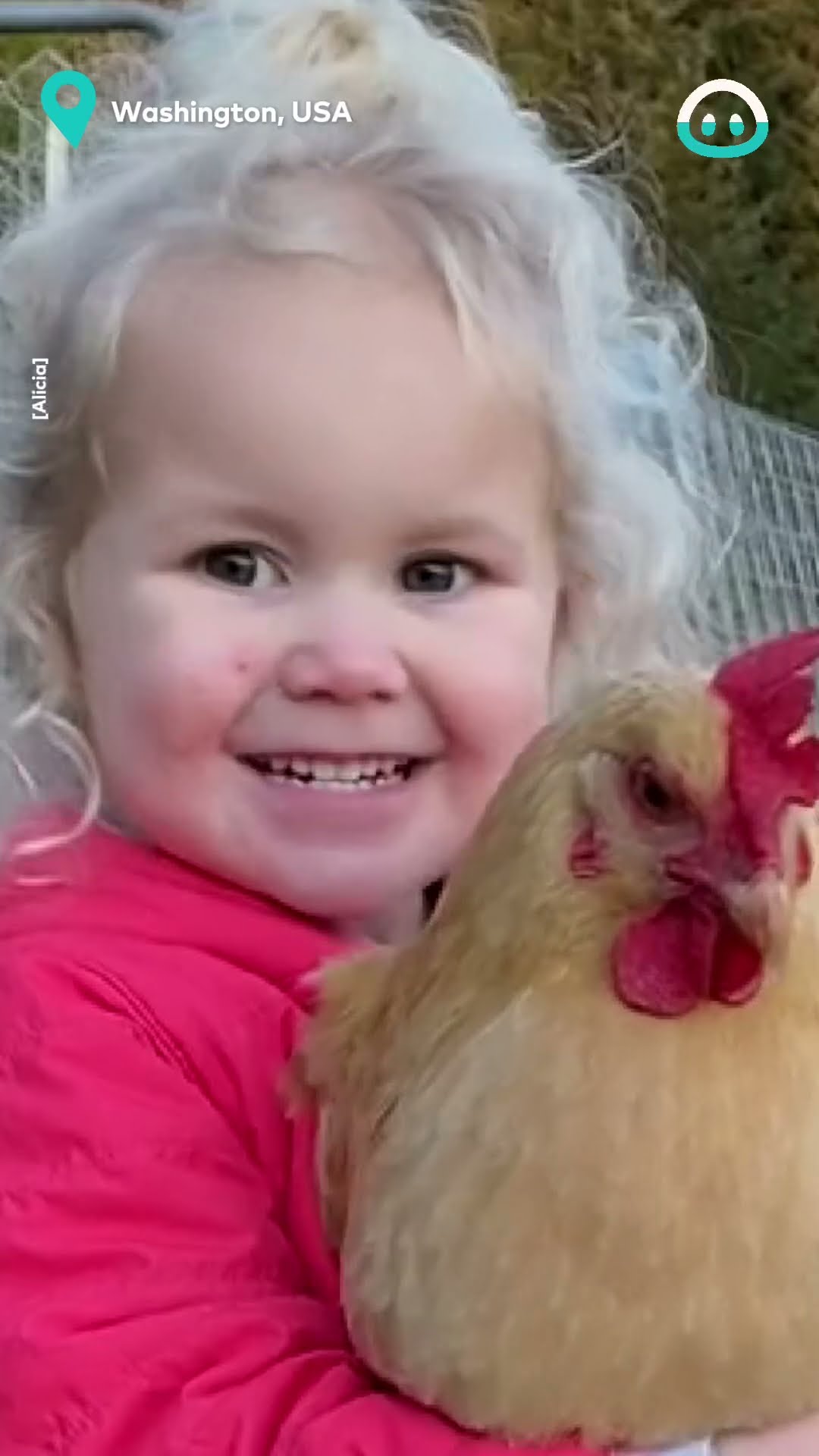 Toddler And Her Chicken Friend || ViralHog