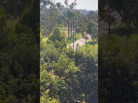 شقه للبيع في مدينتي 211م كاش دور اول كود 16609 للتواصل 01116330530 01007476016