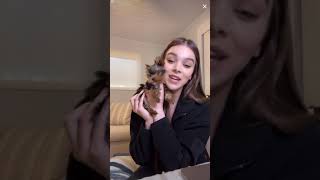 Hailee Steinfeld Tiktok Live