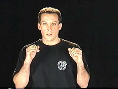 Krav Maga full training image