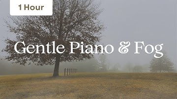 1 Hour of Relaxing Piano Music On A Foggy Day | Gentle Fog Ambience