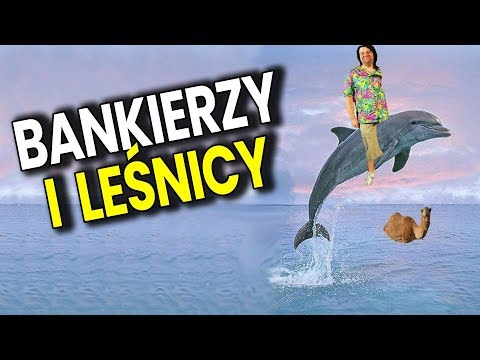 Bankierzy i Leśnicy - Wycieńczony Mózg Przysypiającego Atora ZNOWU BREDZI - Analiza Komentator Bank