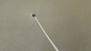 Very Low Moisture Church Carpet Cleaning Irmo SC 