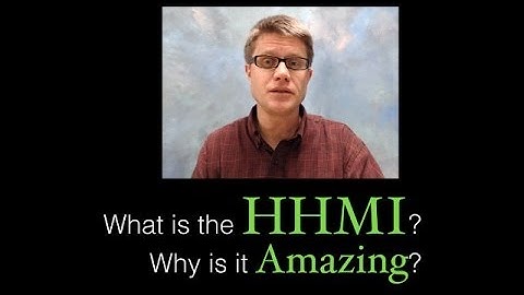 What is the HHMI?  Why is it amazing?