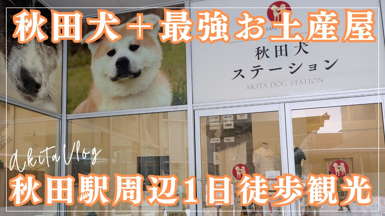 【秋田旅行Vlog】再び秋田犬に会いに行く日｜最強のお土産屋も紹介