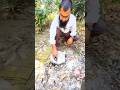 glass survival skill #outdoors #campping #bushcraft #skill #glass