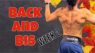 Day 3, Week 2:  Back and Bis Live Workout