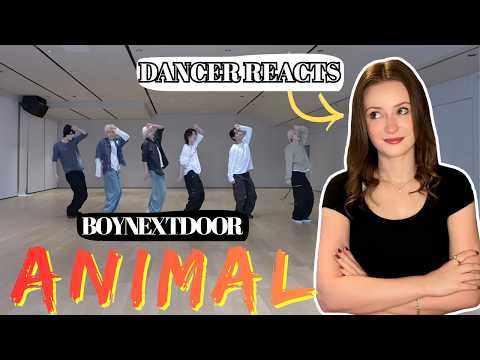 Dancer Reacts to BOYNEXTDOOR 'ANIMAL' Dance Practice | How does the choreo stack up?
