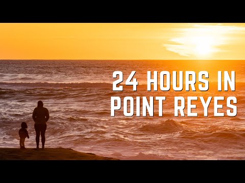 Video: Point Reyes National Seashore Vierailijaopas