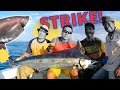 Monstrous Fish Strikes: A Compilation of Epic Big Game Fishing Moments | Trans 7 Global (27/12/23)