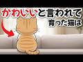 かわいい！と言われて愛されて育った猫はこうなる【猫の雑学】