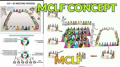 MCLF CONCEPT | NRLM MCLF | AP SERP |