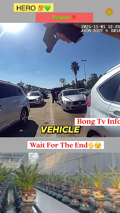 Good Samaritan Helps Police Catch Shoplifter and Accomplice After Parking Lot Escape