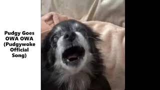 Pudgy Goes OWA OWA (Pudgywoke  Song)