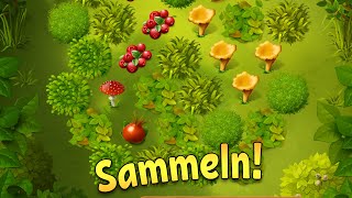 Forest Bounty - Willkommen im Wald!  Sie können das ruhige und entspannende Gameplay screenshot 1