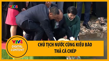 Chủ tịch nước cùng kiều bào thả cá chép tiễn ông Táo về chầu | VTV4