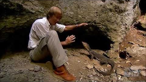 Austin Stevens: Snakemaster - A water monitor encounter | A Week with Austin Stevens