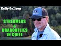 The fly show with kelly galloup ep 6 streamers and dragonflies in chile