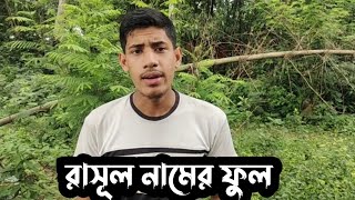 মাশা-আল্লাহ || অন্তর শীতল করা কন্ঠে গজল ||