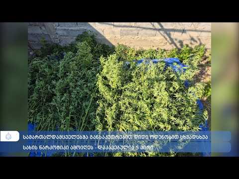 პოლიციამ დიდი ოდენობით ნარკოტიკის საქმეზე ხუთი პირი დააკავა