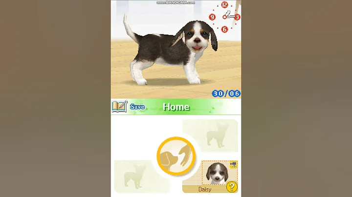 Nintendogs: Chihuahua and Friends Part 1
