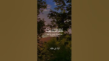 قران كريم ارح قلبك وسمعك #قران_في_دقيقة #سعد_الغامدي #quran #قرآن @قران_في_دقيقة