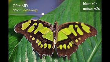 Multi-Dimension Modulation for Image Restoration with Dynamic Controllable Residual Learning.