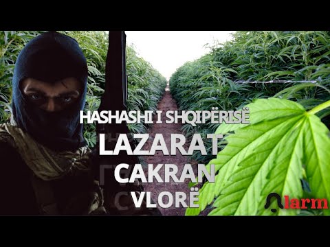 Video: Si ndryshon legalizmi nga konfucianizmi?