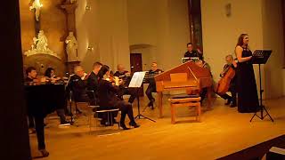 Mozart - Voi Che Sapete