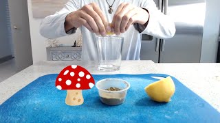 What is the lemon tek method and how to do it (Shrooms)