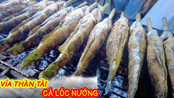 "Đột Nhập" Lò Nướng CÁ LÓC Xuyên Đêm Khủng Nhất Sài Gòn 3000 con/ngày Phục Vụ Ngày VÍA THẦN TÀI