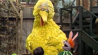 Sesame Street: Big Bird Sings about Mistakes Resimi