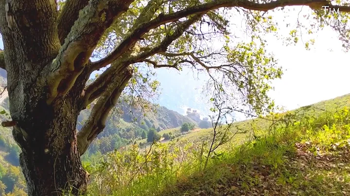 Peaceful Beautiful Instrumental Music, Soft Relaxi...